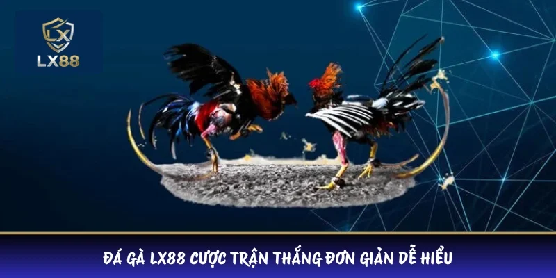 Đá gà LX88 cược trận thắng đơn giản dễ hiểu
