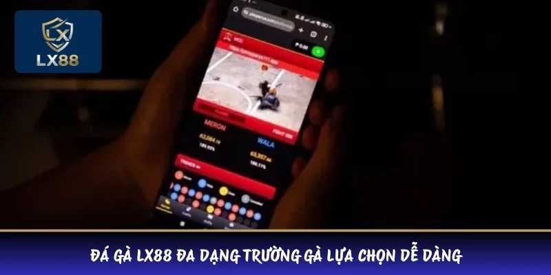 Đá gà LX88 đa dạng trường gà lựa chọn dễ dàng